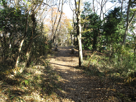 20151209hike (172)